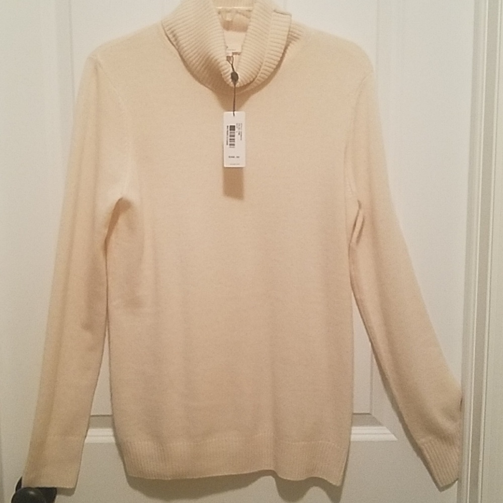 AG Cashmere Turtleneck